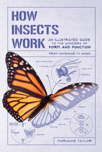 Load image into Gallery viewer, How Insects Work