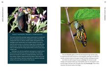 Load image into Gallery viewer, 100 Plants to Feed the Monarch : Create a Healthy Habitat to Sustain North America's Most Beloved Butterfly