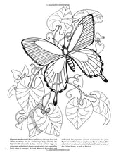 Load image into Gallery viewer, Butterflies Coloring Book