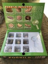 Load image into Gallery viewer, Earth Science Kit: Fossils