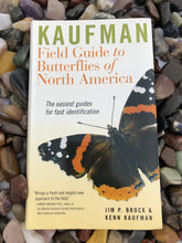 Load image into Gallery viewer, Field Guide to Butterflies of North America