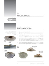 Load image into Gallery viewer, Bivalve Seashells of Western South America: Marine Bivalve Mollusks from Northern Perú to Southern Chile