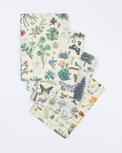 Load image into Gallery viewer, Nature Pocket Notebook 4-pack