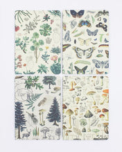 Load image into Gallery viewer, Nature Pocket Notebook 4-pack