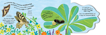 Load image into Gallery viewer, How Does a Butterfly Grow?