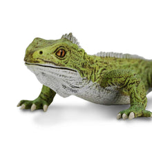Load image into Gallery viewer, Tuatara Prehistoric World
