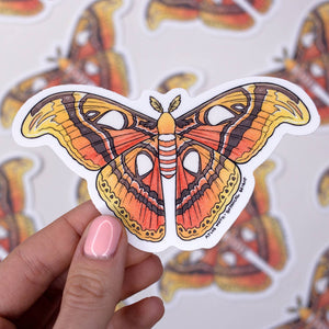 Atlas Moth Waterproof Vinyl Sticker