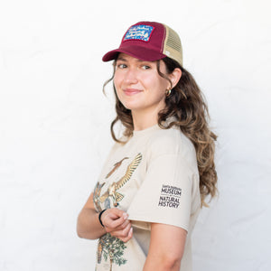 Field Guide to Owls Adult T-Shirt