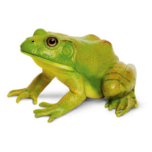 Load image into Gallery viewer, American Bullfrog Wild Safari
