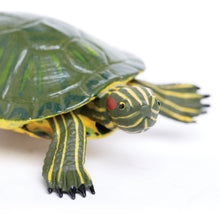 Load image into Gallery viewer, Red-Eared Slider Turtle Wild Safari
