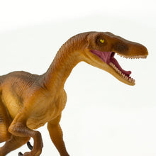 Load image into Gallery viewer, Velociraptor Prehistoric World
