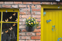 Load image into Gallery viewer, Nests Sewn Garland
