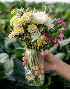 Butterfly Glass Can