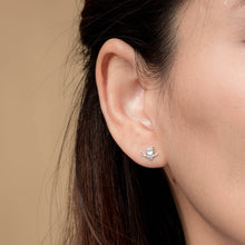 Load image into Gallery viewer, SS Wise Owl on a Branch Stud Earrings
