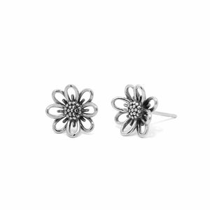 Gerbera Daisy Flower Stud Earrings