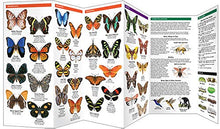 Load image into Gallery viewer, Pocket Naturalist Guides
