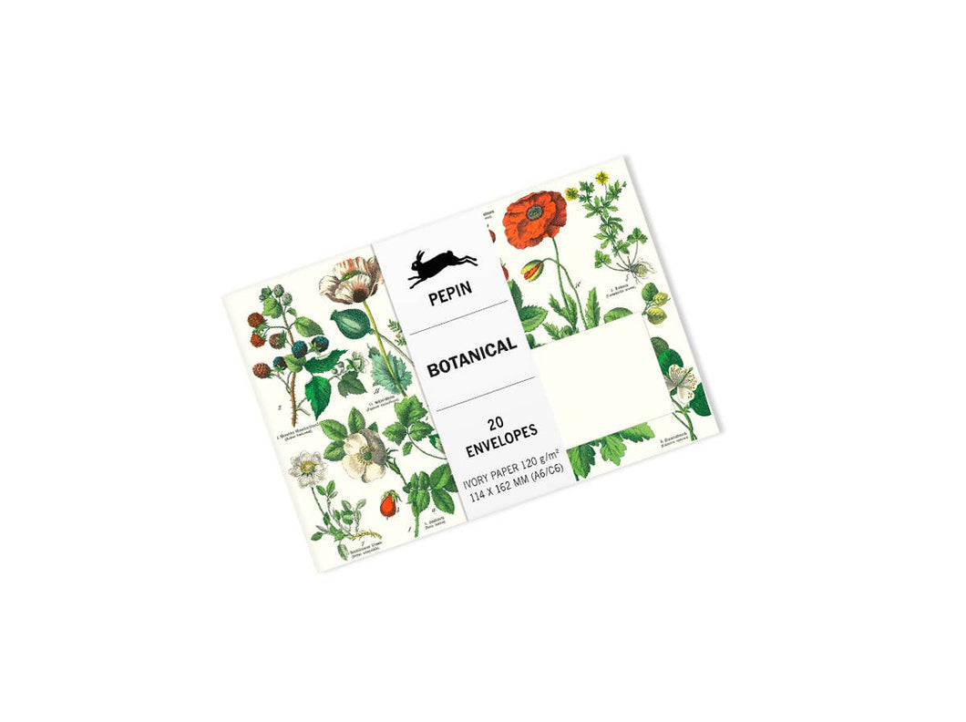 Botanical C6-Envelopes