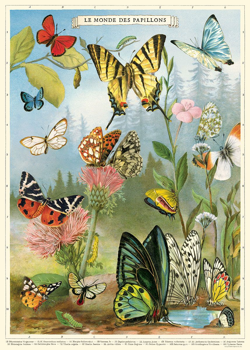 Butterflies 4 Wrap