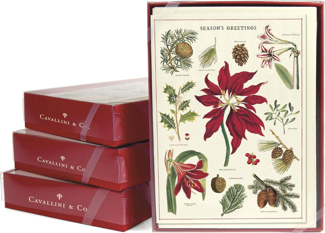 Botanica Christmas Boxed Notes