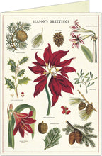 Load image into Gallery viewer, Botanica Christmas Boxed Notes
