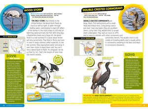 National Geographic Kids Ultimate Explorer Field Guide: Birds