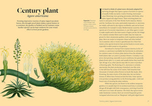 Parched: 50 Plants that Survive and Thrive in a Dry Garden