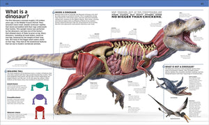 Dinosaur!