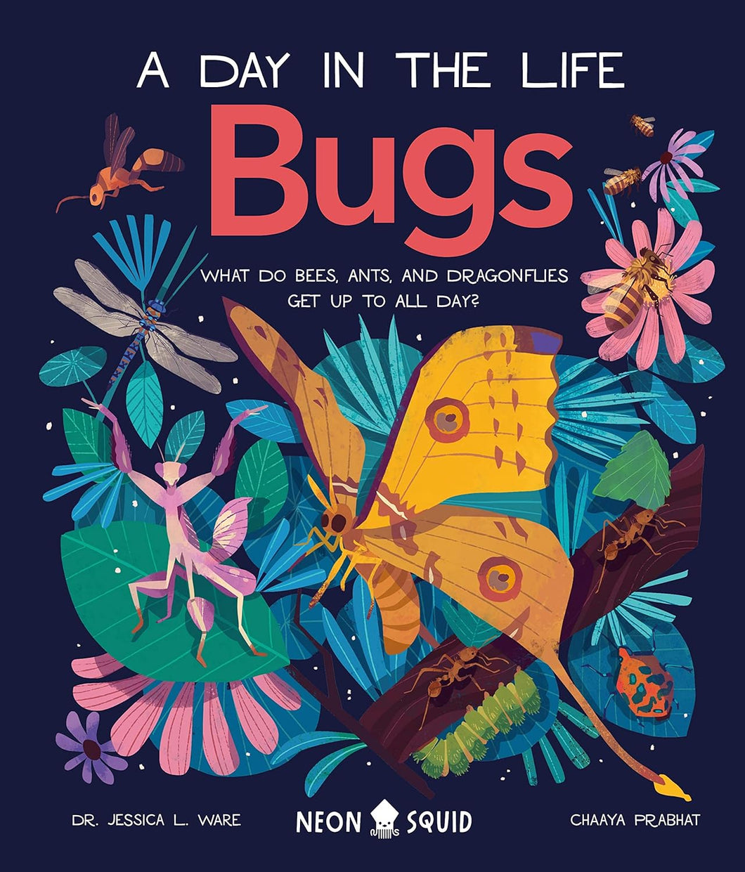 Bugs: A Day in the Life