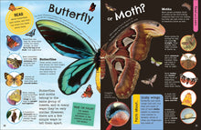 Load image into Gallery viewer, Fact-Packed Activity Book: Insects and Other Tiny Creatures
