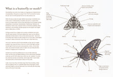Load image into Gallery viewer, Sensational Butterflies
