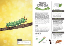 Load image into Gallery viewer, Kid&#39;s Guide to Backyard Bugs
