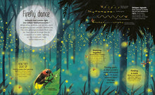 Load image into Gallery viewer, The Book of Brilliant Bugs
