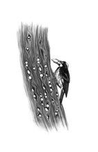 Load image into Gallery viewer, The Birds in the Oaks
