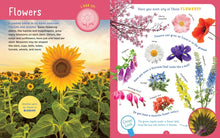 Load image into Gallery viewer, Backpack Explorer: Discovering Plants And Flowers
