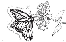 Load image into Gallery viewer, Hidden In Nature Coloring Book
