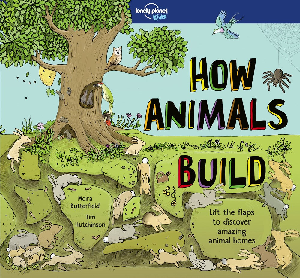 Lonely Planet Kids: How Animals Build