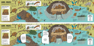 Lonely Planet Kids: How Animals Build