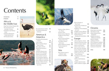 Load image into Gallery viewer, Lonely Planet Kids: The Joy Of Birdwatching
