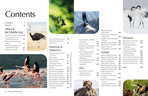 Lonely Planet Kids: The Joy Of Birdwatching