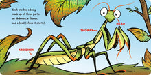 Load image into Gallery viewer, Dr. Seuss Discovers: Bugs
