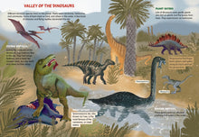 Load image into Gallery viewer, Amazing World Of Dinosaurs
