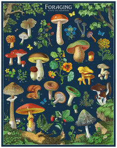 Foraging 1000pc Puzzle