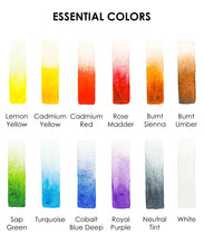 Load image into Gallery viewer, Essential Watercolor Set of 12 with Brush
