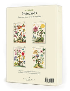 Floreale Boxed Note Cards