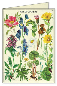 Wildflowers Boxed Note Cards