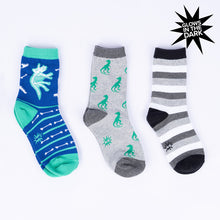 Load image into Gallery viewer, Arch-eology Junior Crew Socks Pack
