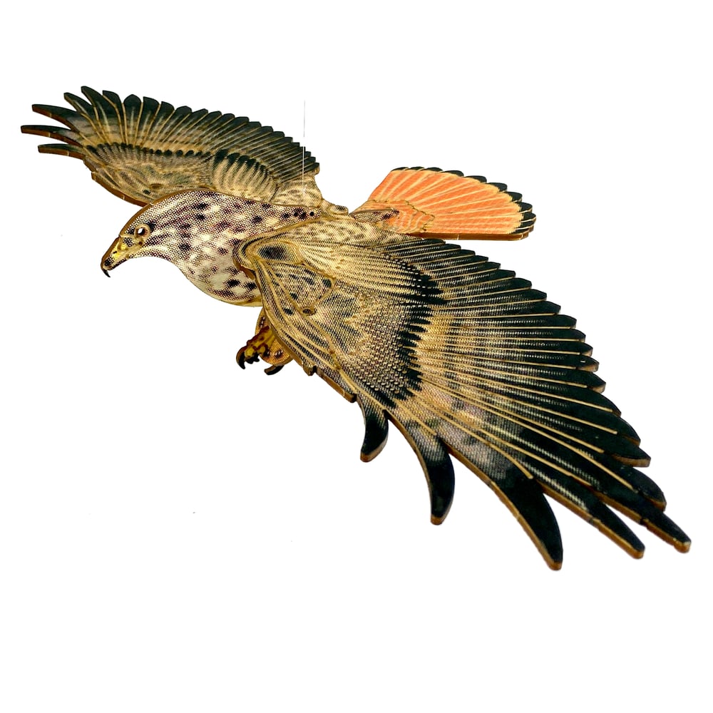 Redtail Hawk Wooden Mobile