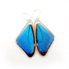 Load image into Gallery viewer, Morpho Aega Butterly Earrings
