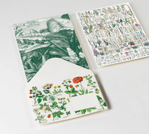 Botanical C6-Envelopes