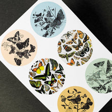 Load image into Gallery viewer, Natural History Label Sticker &amp; Tape Book
